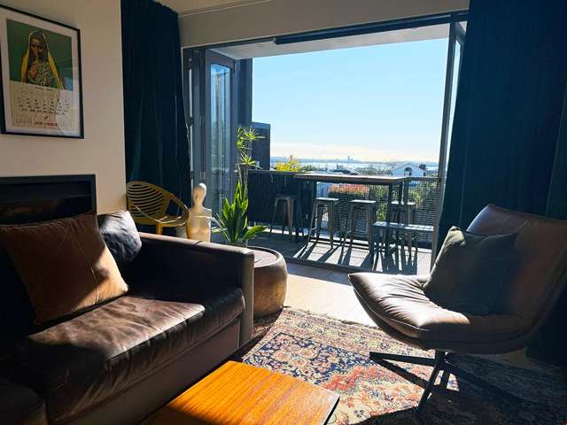 33 Ponsonby Road Grey Lynn_2