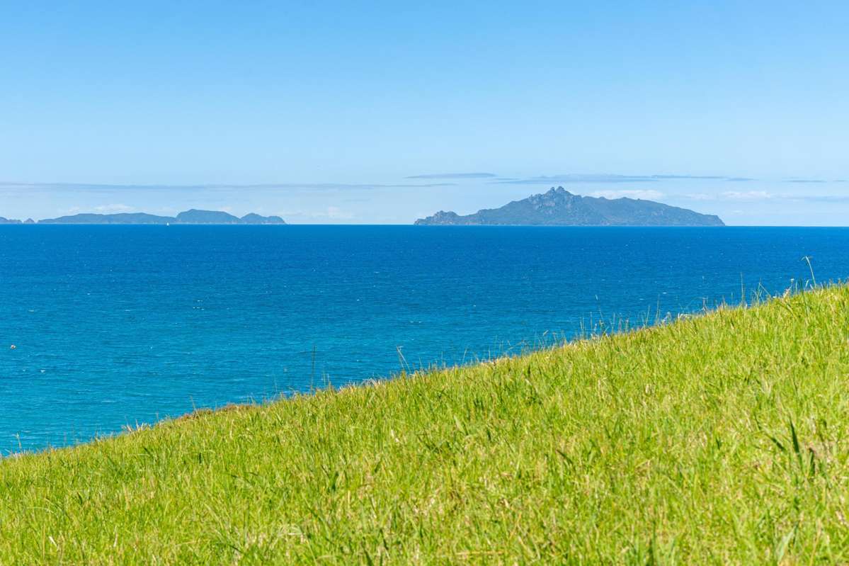 Lot 1,1067 Cove Road_2