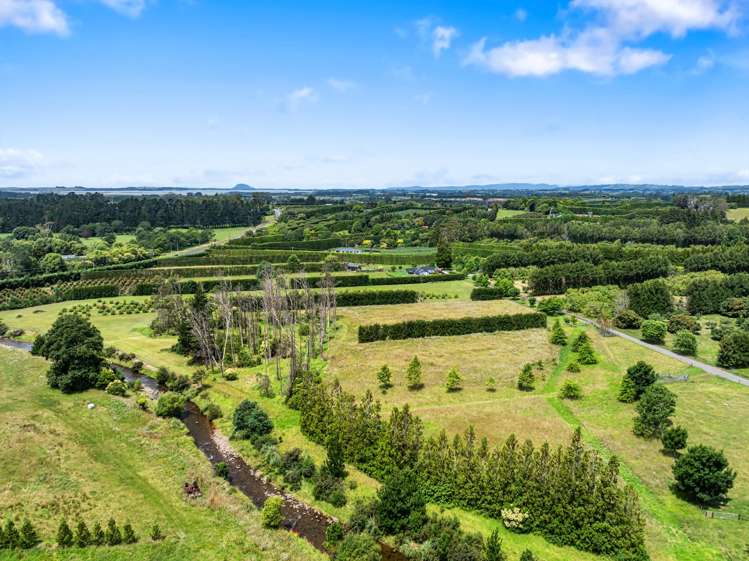 30B Thompsons Track Aongatete_16