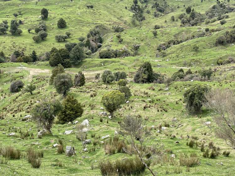 Mangakahu Valley Road Waimiha-Ongarue_18