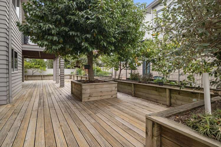 1/46 Shepherd Road Waipahihi_20