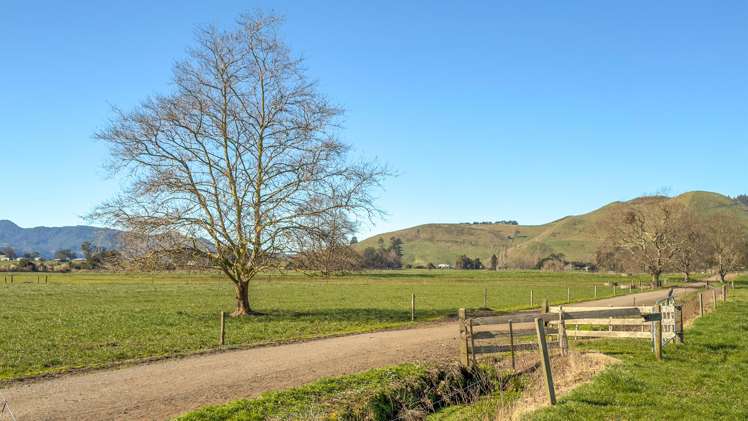 6379 State Highway 26, Tirohia Paeroa_16