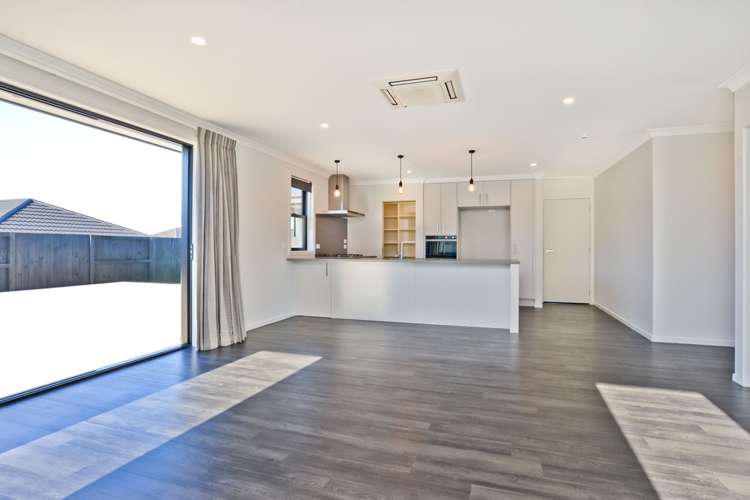 8 Vercoe Crescent Morrinsville_4