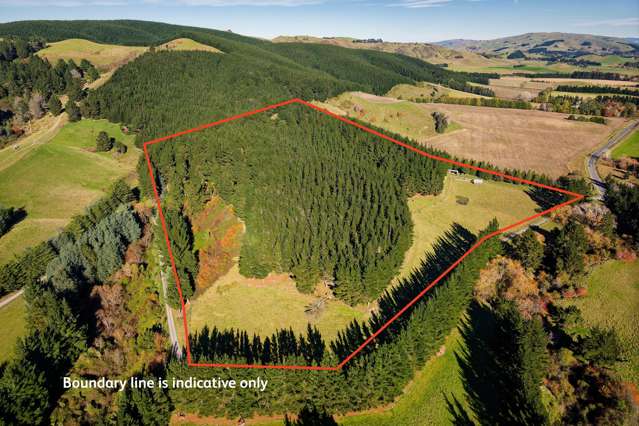 8P Davaar Road Greta Valley_4