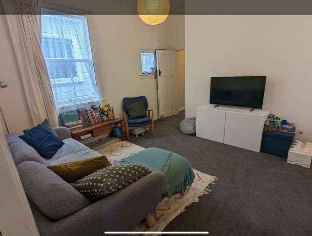 123 Onepu Road Lyall Bay_3