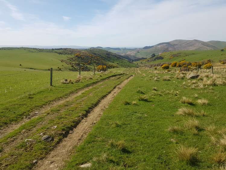 173 Glenfalloch Road Catlins Surrounds_5