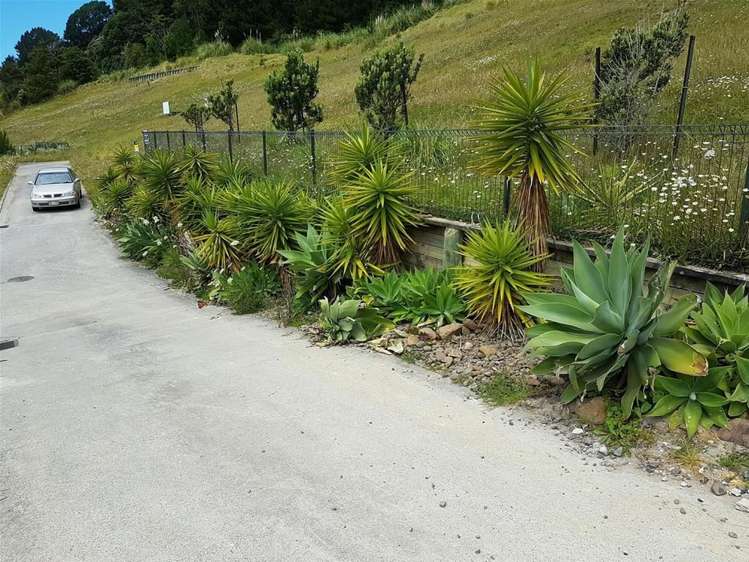 44 Panorama Parade Pauanui_2