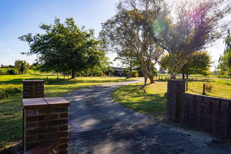 221 Setters Line Bunnythorpe_4