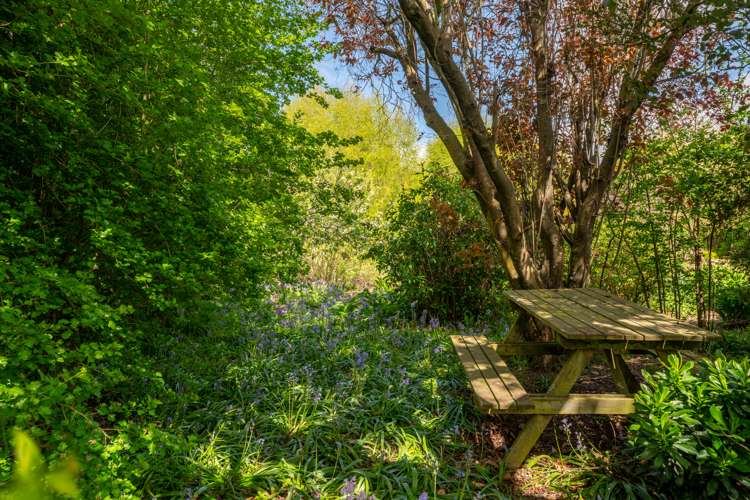 144 Smith Road Five Forks and Surrounds_22