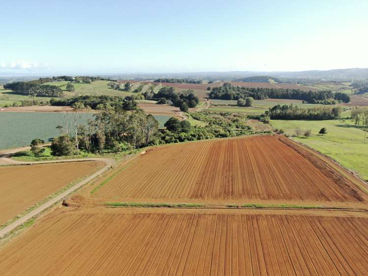 87 Mill Road Pukekohe East_12