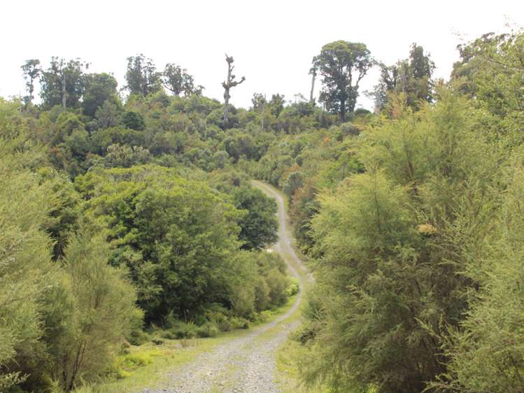 552b Cuff Road National Park_13