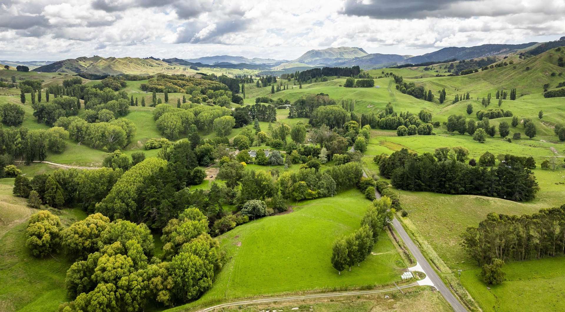 2420, 2430 and 2438 Kahuranaki Road Elsthorpe_0