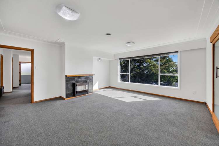 3a Waimea Street Westown_24