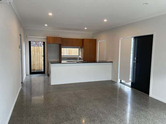 1/180 Ulster Street Whitiora_3