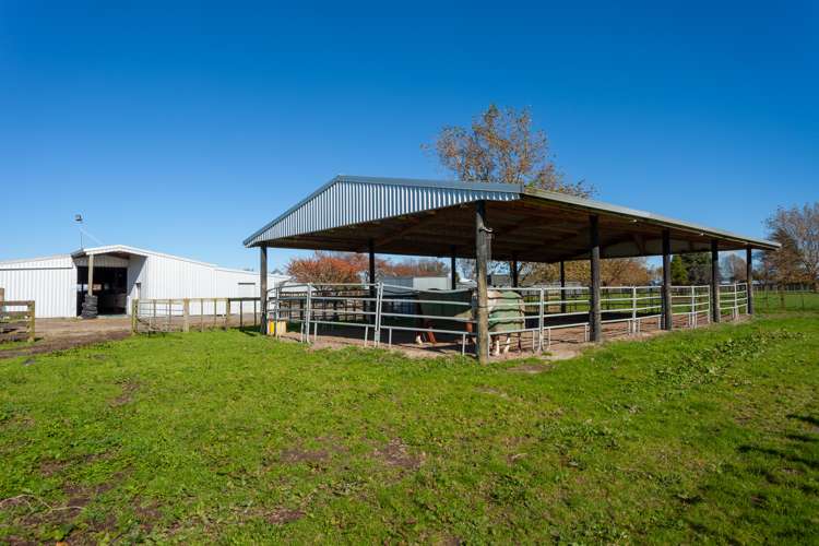 1463 Alexandra Road Waharoa_10