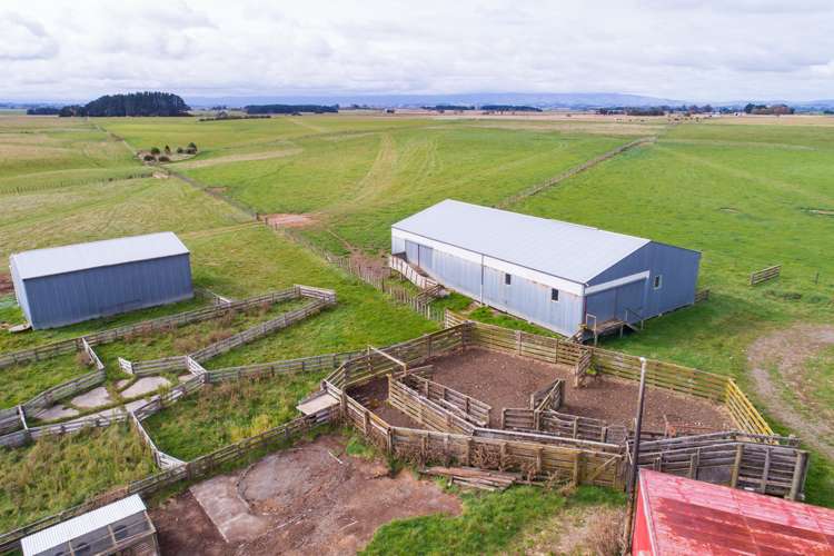 63b Sligo Terrace Roslyn_4