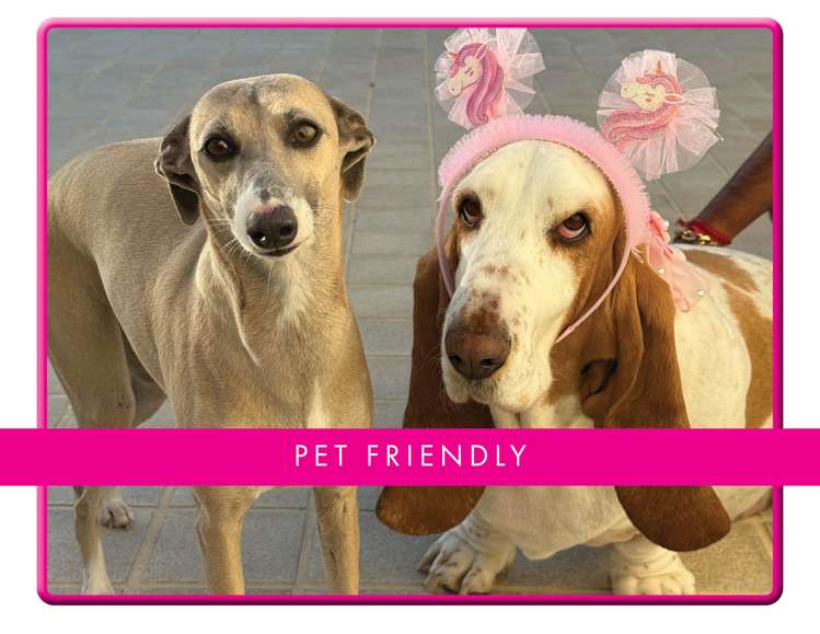 505/11 Fenton Street Eden Terrace_27