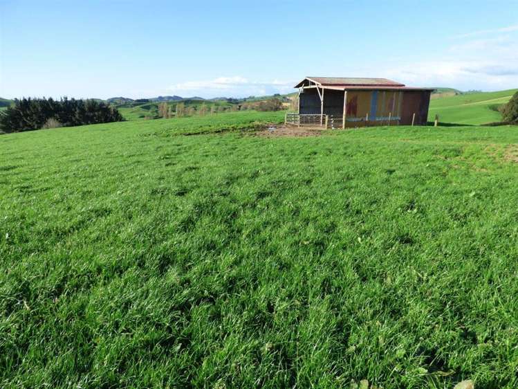 203/219 Paewhenua Road Maihiihi_28