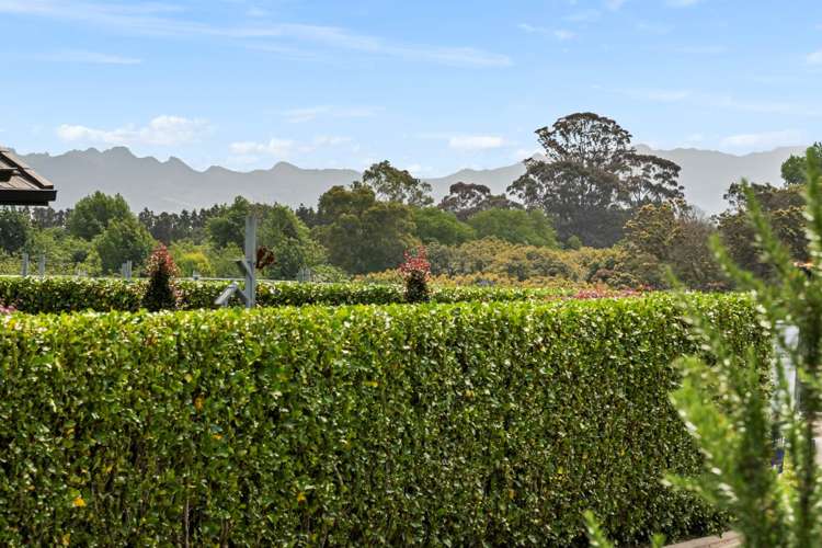 9b Tui Glen Omokoroa_23