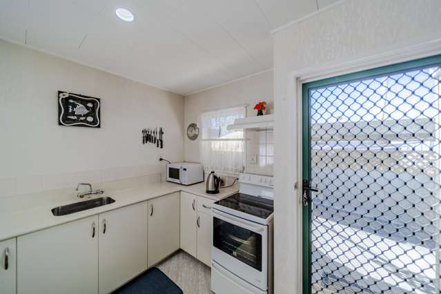 17 Guildford Street Tamatea_4