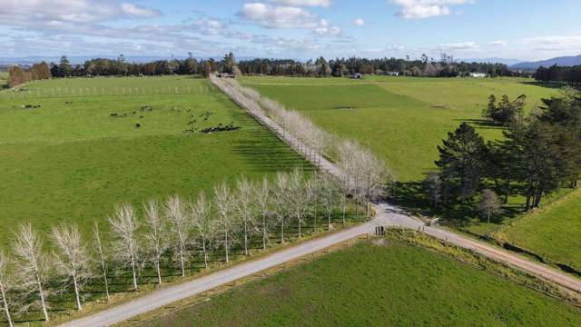 Waiare Road Kerikeri_1