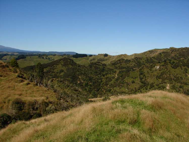 839 Ruatiti Road Raetihi_17