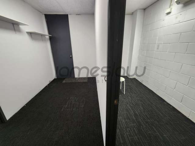 Level 1/123 Manukau Road Epsom_4