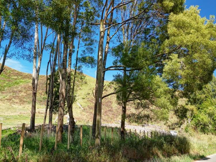 Longacre Road Okoia_10