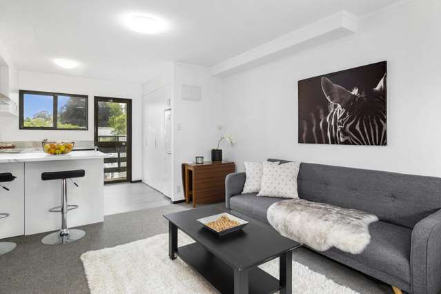 13/93 Queen Street North Dunedin_1