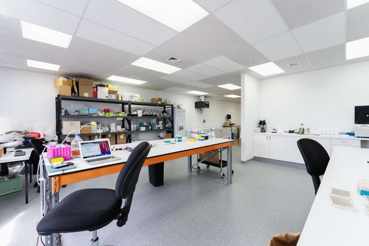 248 Cumberland Street Dunedin Central_45