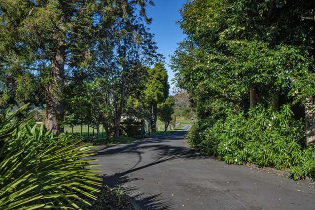 9 Lauries Drive Kauri_1