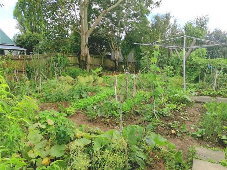 110 Bruce Mclaren Road Henderson_7