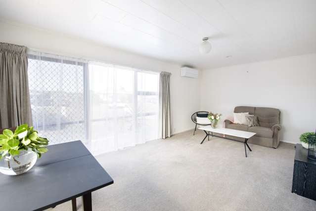 9 Gipps Place Tamatea_4