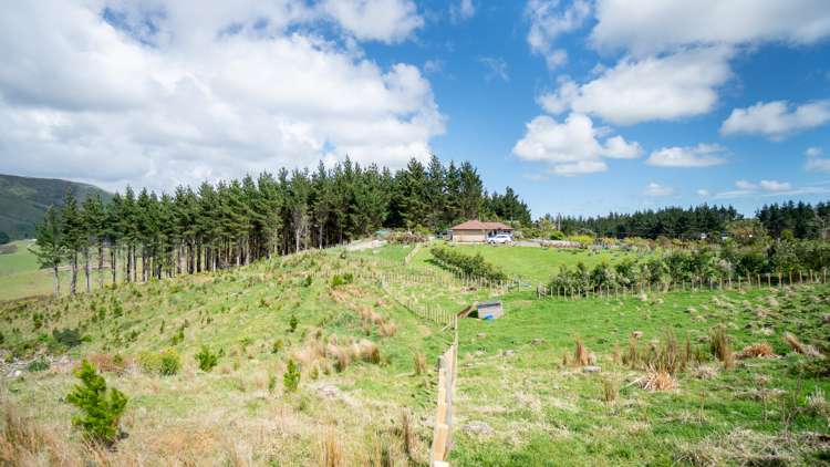 265 Ngahere Park Road Turitea_24