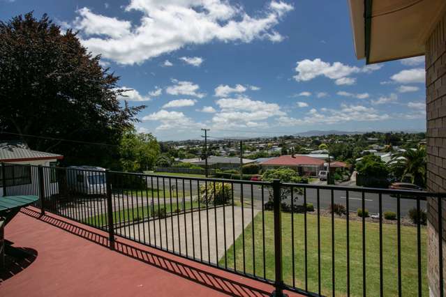 772 Pakura Street Te Awamutu_3