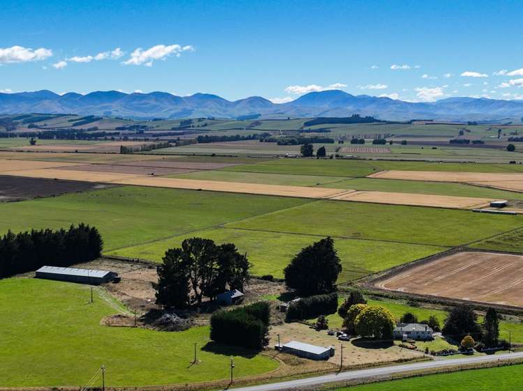 486 Steffan Road St Patricks_9