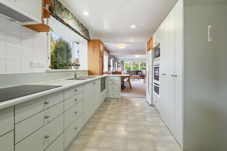3 Solly Place Springfield_5