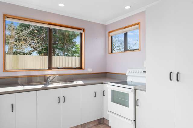 103b Howick Road Redwoodtown_2