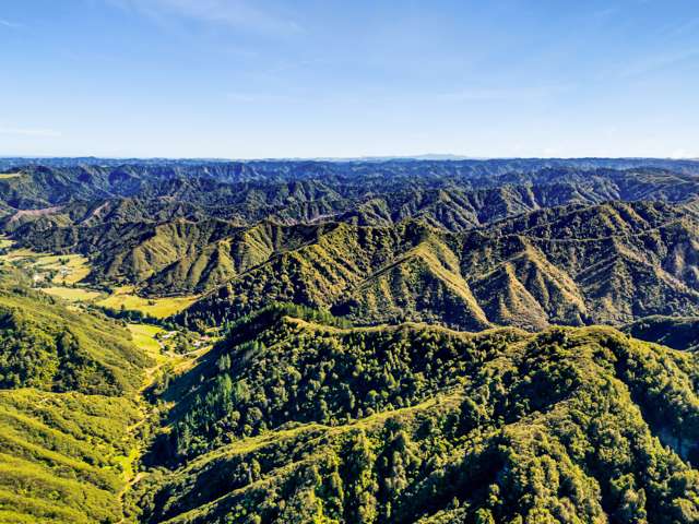 1870 Okau Road Urenui_1