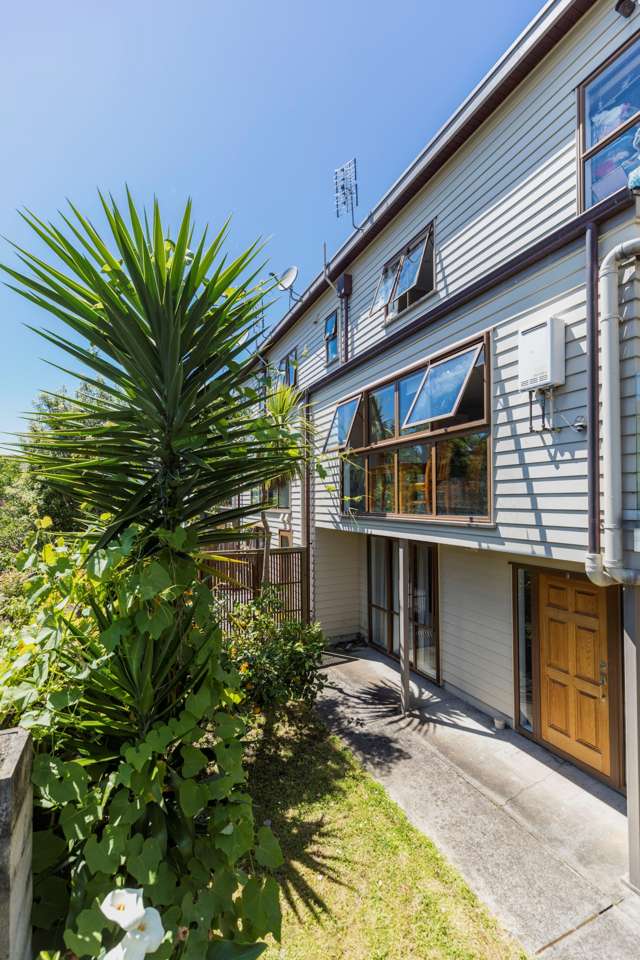 266e Manukau Road Epsom_1