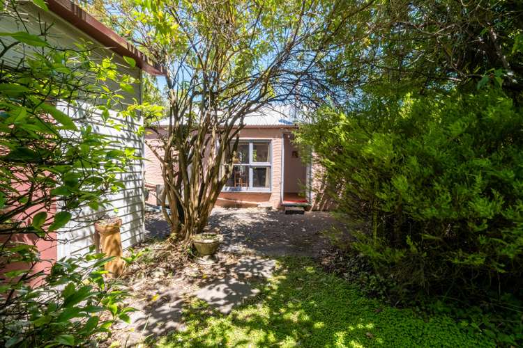 10 Shelley Street Sydenham_19