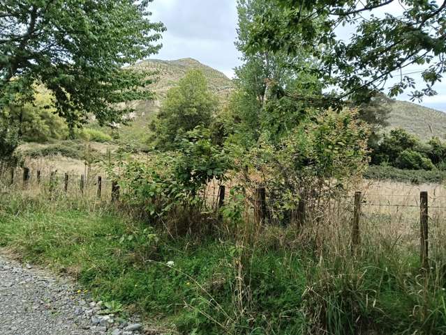 459 Kakariki Farm Road Kotemaori_2