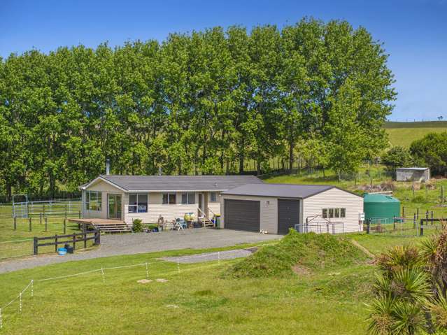 Affordable Equestrian Lifestyle in South Head