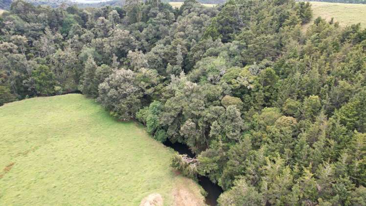 Hikurua Road Matauri Bay_12