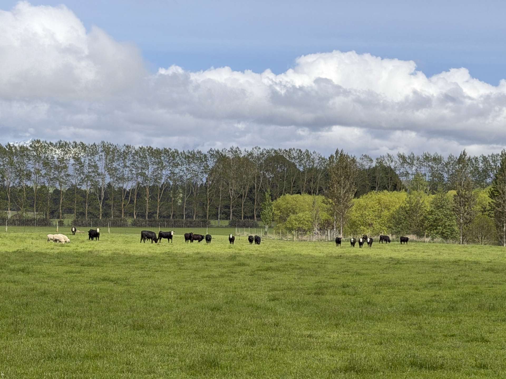 1148 Blackmount Redcliff Road Te Anau_0