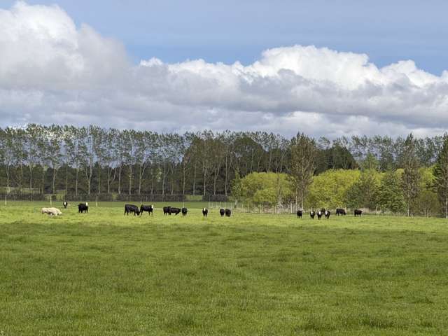 1148 Blackmount Redcliff Road Te Anau_1