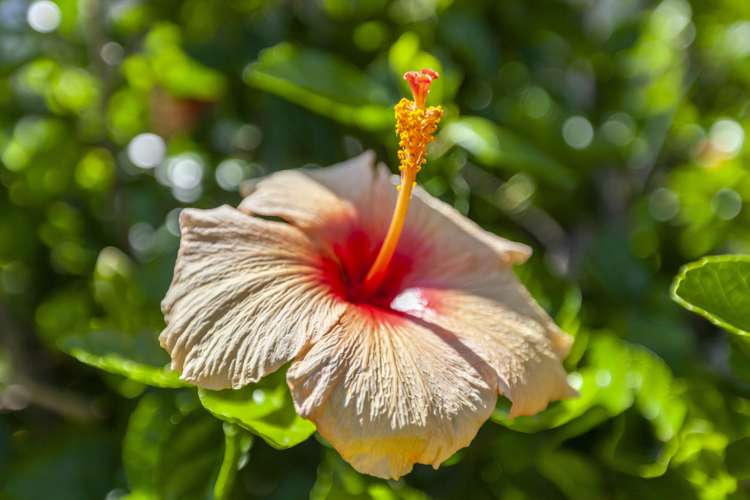 49 Andrew Street Waikanae_7