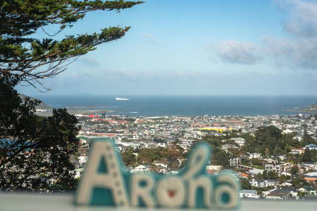 2/16 Marewa Road Hataitai_1