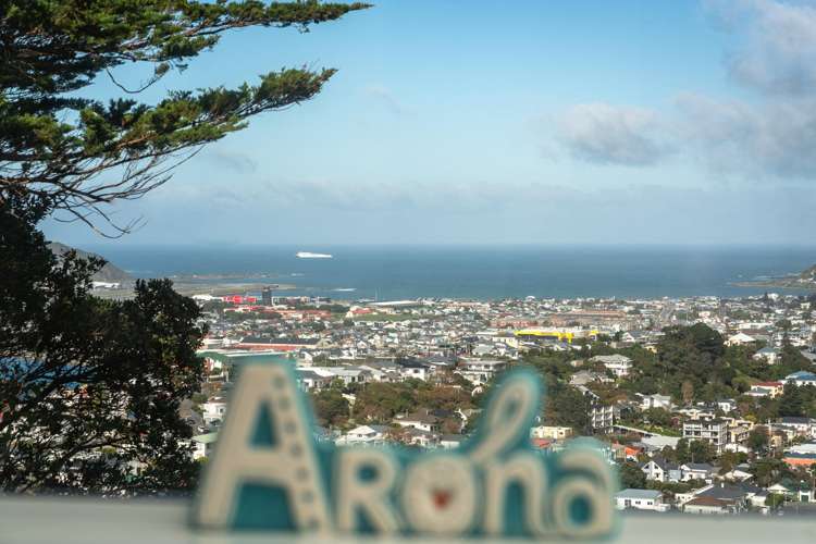2/16 Marewa Road Hataitai_1