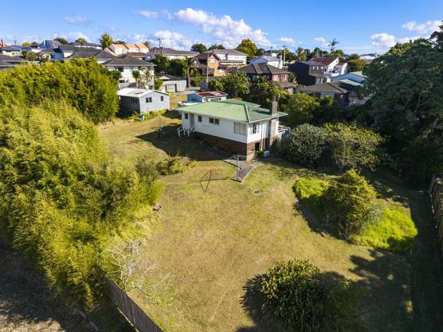 1550 Dominion Road Extension Mount Roskill_4